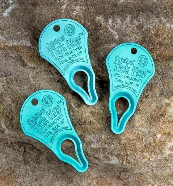 Lee Valley sells these handy tick removal tools, which fit on your keychain. (Lee Valley Tools)