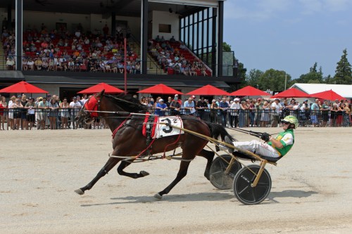 Driver Jody Jamieson of Guelph, Ont., and Mels Legacy are shown in this handout photo, winning the opening leg of the 2026 National Driving Championship at Clinton Raceway in Clinton, Ont., on Sunday, July 26, 2026. THE CANADIAN PRESS/Handout - Lori Martin (Mandatory Credit)