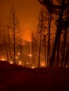 Trees burn around Faulder, B.C., late on Friday, Aug. 7, 2026, after the Bald Range wildfire swept over the community. This handout photo was taken by resident Greg Gibbs who stayed to fight the fire with his brother. THE CANADIAN PRESS/Handout — Greg Gibbs (Mandatory Credit)