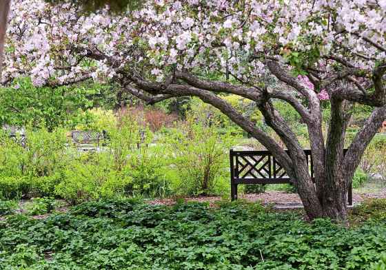 An impromptu visit to the park might add some whimsy to your week. (Ruth Bonneville / Free Press files)