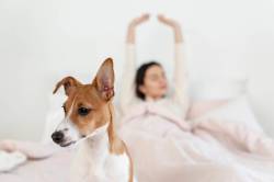 Magnific
                                Waking up with your dog, no matter what time it is, can provide peaceful moments.