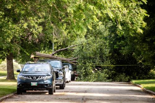 MIKAELA MACKENZIE / FREE PRESS
                                A storm with high winds downed trees and caused widespread power outages which Manitoba Hydro expected to be repaired by Saturday evening.