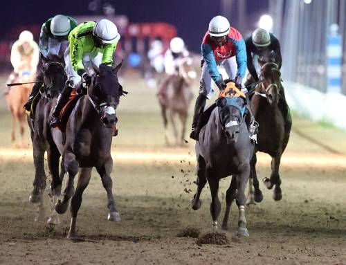 JASON HALSTEAD / ASSINIBOIA PHOTO
                                Manitoba Derby winner Western Warrior holds the lead on the inside Monday night at Assiniboia Downs.