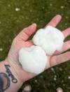 SUSAN OAKLEY PHOTO
                                Susan Oakley holds two large hailstones that fell in Sanford in early June.