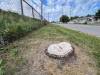ZOE PIERCE / FREE PRESS
                                Where once there were mature trees along Selkirk Avenue, only stumps remain after Manitoba Hydro cut them down last fall as a safety precaution.