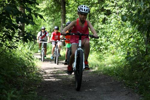 RUTH BONNEVILLE / FREE PRESS FILES
                                Enjoy a bike ride in Beaudry Provincial Park, known for its big trees.