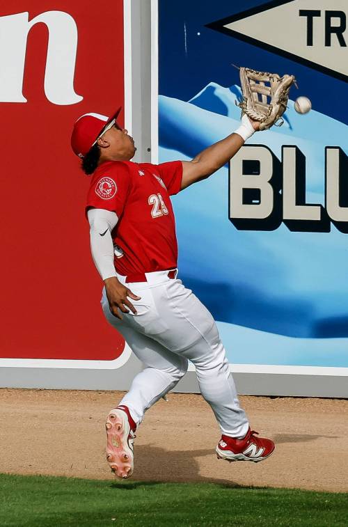 JOHN WOODS / FREE PRESS
                                Winnipeg Goldeyes outfielder Noah Marcelo missed this catch against the Chicago Dogs on Tuesday but made a leaping grab in the record-tying win on Thursday.