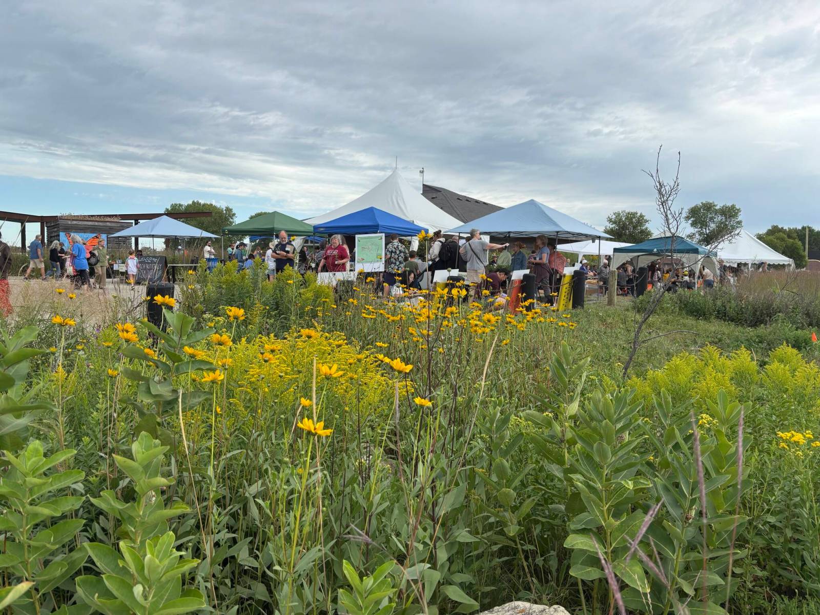 50 years of rare tall grass prairie celebrated
