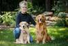 JOHN WOODS / FREE PRESS
                                Sandra Negrey and her dogs Murphy, left, and Archie at her home Sunday. Archie dock dives and Murphy is about to enter his first confirmation show.