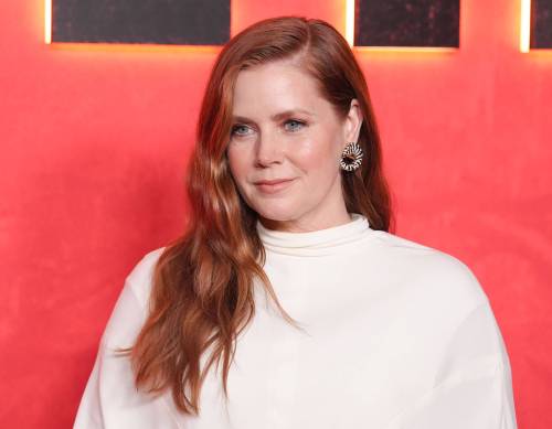 Chris Pizzello / The Associated Press Files
                                Amy Adams