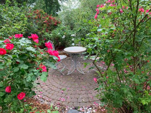 Pam Frampton photo
                                A fine place to sit after a good day&rsquo;s work.