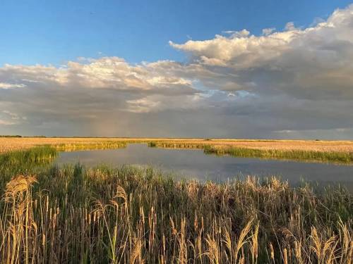 Ducks Unlimited Canada announced Tuesday it has acquired a conservation easement for East Meadows Ranch. (Supplied)