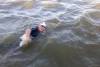 Sue Romaniuk photo
                                Two-time cancer survivor Jonathon Fenton, 62, swam about 26 kilometres to cross Lake Winnipeg Sunday.