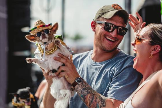 Tacos and Tequila will include a chihuahua beauty pageant.(Michelle Reynolds photo)