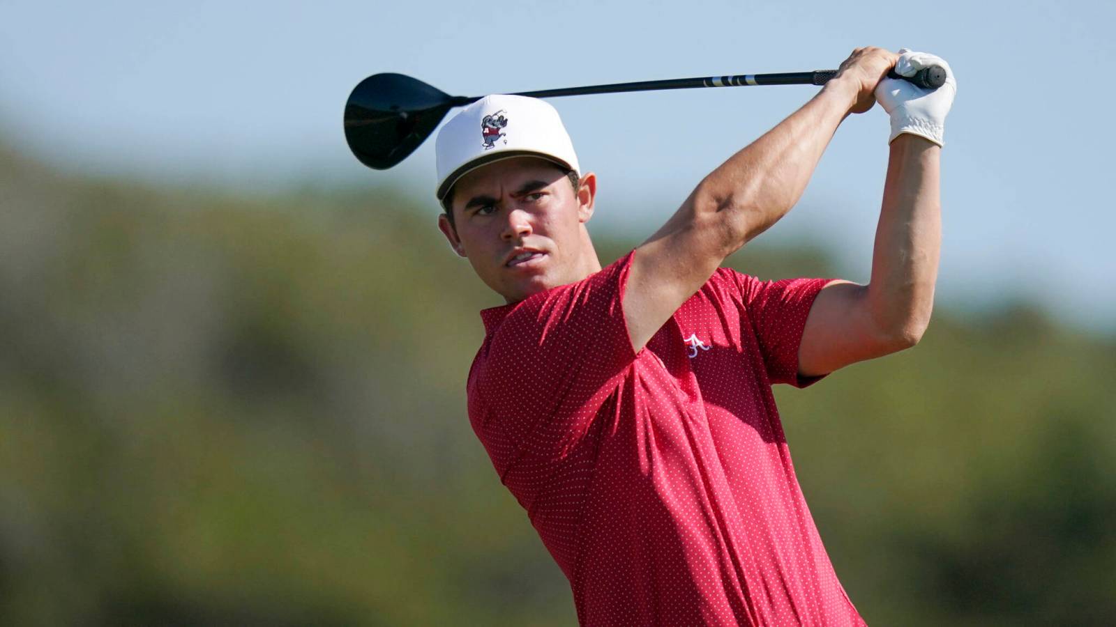 Dream season for Ponder who has yet to miss a cut on PGA Tour Americas