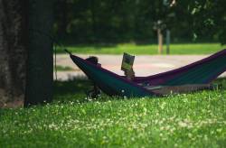 A woman enjoys reading in a hammock under a tree during a sunny summer day in a park. (pexels.com)