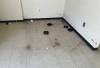 SUPPLIED
                                Mice dropping and traps in a Manitoba Housing apartment building at 253 Edgeland Blvd.