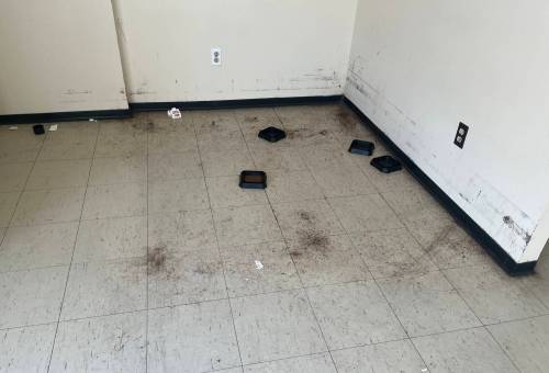 SUPPLIED
                                Mice dropping and traps in a Manitoba Housing apartment building at 253 Edgeland Blvd.