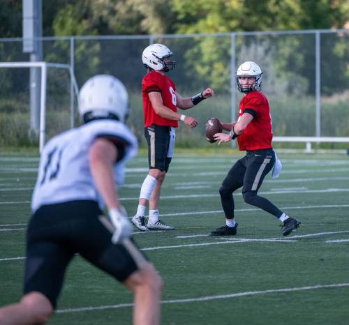 ROBERT LEE / FREE PRESS
                                After a few starts last season, Bisons quarterback Cole Anseeuw continues to work on slowing the game down and reading opposition defences.