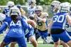 JOHN WOODS / FREE PRESS FILES
                                Winnipeg Blue Bombers quarterback Zach Collaros has familiarity with the schemes employed by Montreal Alouettes co-ordinator Noel Thorpe.
