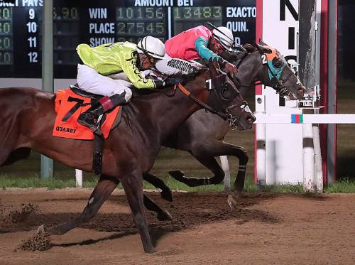 Jason Halstead / Assiniboia Photo
                                Quarry (outside), shown here finishing a strong second in the Manitoba Derby for owner Henry S. Witt, Jr. and trainer Jerry Gourneau, won the $200,000 Canadian Derby for his connections at Century Mile in Alberta on Aug. 22, and could now be headed to the $250,000 Super Derby in Louisiana.