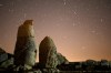 FILE - Ancient statues are seen during the Perseid meteor shower atop Mount Nemrut in southeastern Turkey, Sunday, Aug.11, 2024. (AP Photo/Emrah Gurel,File)