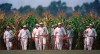 FILE - People portraying ghost players emerge from the cornfield at the 
