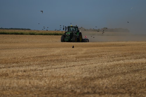 Farmer Maarten Janse drives his tractor on a drought stricken wheat field in Wolphaartsdijk, Netherlands, Tuesday, Aug. 11, 2026. (AP Photo/Virginia Mayo)