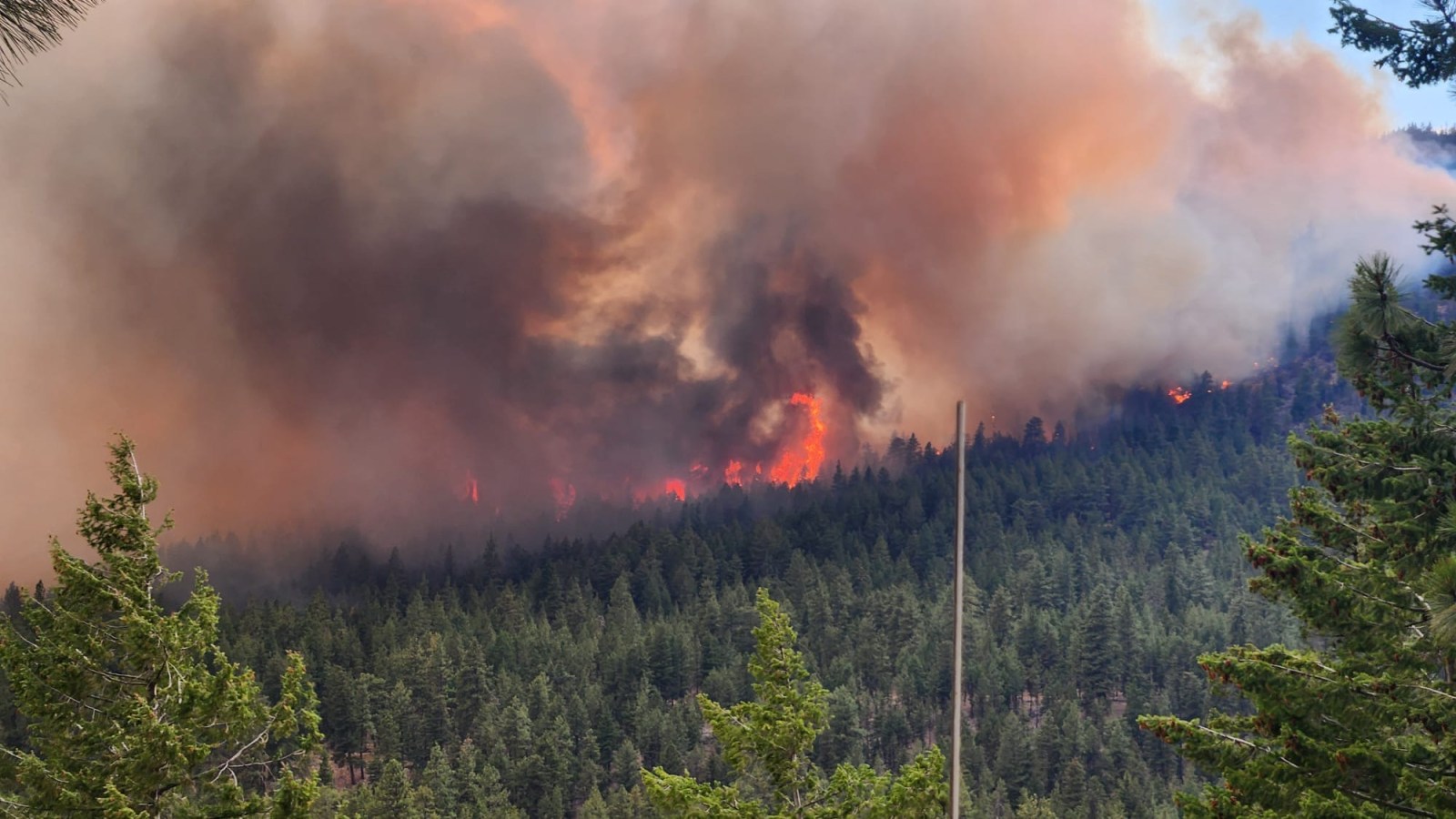 winnipegfreepress.com - The Canadian Press - Migrant workers left with uncertain future amid B.C. wildfire evacuations