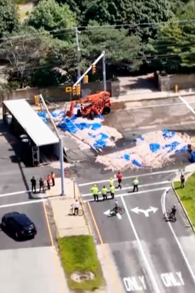 In this image taken from drone footage, workers clean squid from a roadway in Narragansett, R.I., Sunday, Aug. 16, 2026. (John McNamara/PierPicture via AP)