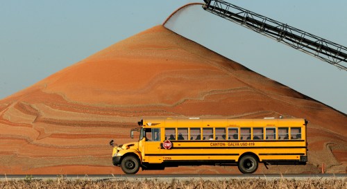 FILE - A school bus passes a pile of milo at a grain storage facility near Canton, Kan., Nov. 10, 2015. (AP Photo/Charlie Riedel, File)