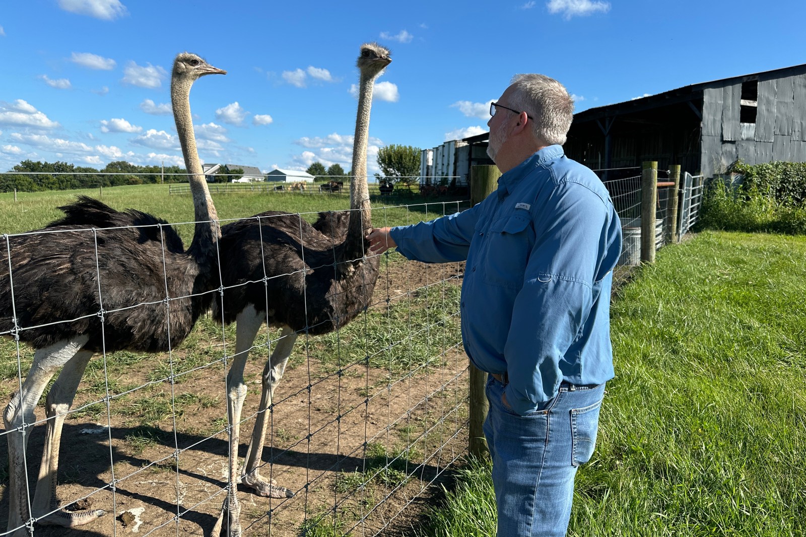 winnipegfreepress.com - Dylan Lovan, The Associated Press - A Kentucky man with a meat allergy was craving a burger. So he got into ostrich farming