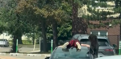 Police in New Brunswick say three youths have been arrested after a video of someone on the roof of a moving car went viral, shown in this handout still image from the video. THE CANADIAN PRESS/Handout — Facebook, Kelsie-Ann Balcom (Mandatory Credit)