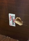 A bullet hole left on the wall at a convenience store in this undated photo. Vancouver policeÂ say a 32-year-old man has been arrested and charged in connection with a shooting at a Vancouver convenience store that seriously injured one person. — THE CANADIAN PRESS/Handout — Bob Kronbauer (Mandatory Credit)