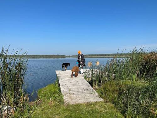 Stephen Borys photo
                                Wanda Koop with her dogs at the lake.