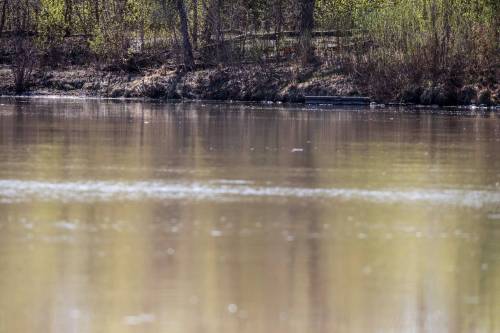 The Red River (Mikaela MacKenzie / Free Press files)