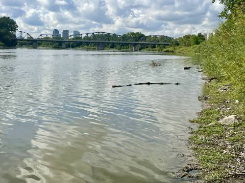 The bank of the Red River, looking towards the Redwood Bridge near St. John&rsquo;s Park. (Ruth Bonneville / Free Press)