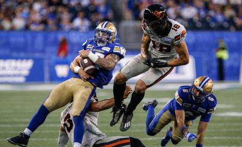 John Woods / THE CANADIAN PRESS FILES
                                Winnipeg Blue Bombers linebacker Tanner Cadwallader, intercepting a pass, can play multiple positions on both sides of the ball, head coach Mike O&rsquo;Shea said.