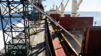 SUPPLIED
                                Canadian durum wheat, supplied by Saskatchewan-
based AGT Foods, is loaded at the Port of Churchill to be shipped to customers in Europe.