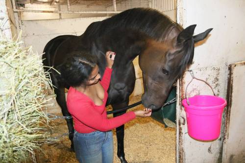 GEORGE WILLIAMS PHOTO
                                Groom Christine Reaves with Mechanic Susie in trainer Elton Dickey&rsquo;s barn.