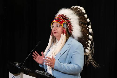 DARREN CALABRESE / THE CANADIAN PRESS FILES
                                &lsquo;We warn the government against abusing its majority status and dishonouring the Crown through procedural tools, time allocation or closure to frustrate Parliament&rsquo;s ability to hear from rights holders and consider amendments,&rsquo; National Chief Cindy Woodhouse Nepinak says.