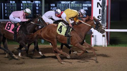 Jason Halstead /Assiniboia Photo
                                Pumpkin Princess (4), a 41-1 shot, with jockey Nathan Haar wins the sixth race at Assiniboia Downs on Wednesday, triggering a big payout for one lucky bettor.