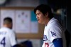 Los Angeles Dodgers' Shohei Ohtani watches from the dugout during the first inning of a baseball game against the Cincinnati Reds, Monday, Sept. 7, 2026, in Los Angeles. (AP Photo/Mark J. Terrill)