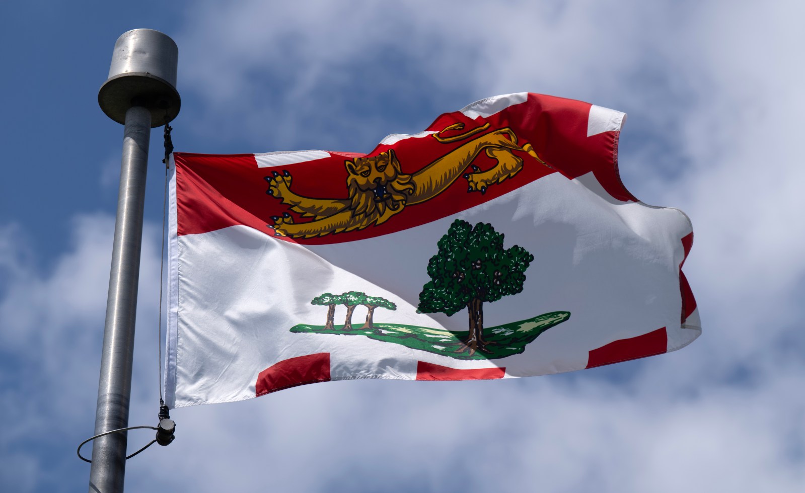 Conditions improving at site of Summerside, P.E.I., solar farm fire, city says