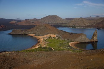 FILE - Saltwater succulents grow by the water on Bartolome Island, Ecuador in the Galapagos on June 7, 2024. (AP Photo/Alie Skowronski, File)