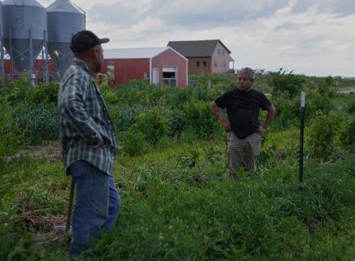 Reginaldo Haslett-Marroquin, right, talks with his brother and farm manager, Cesar Marroquin, in a small field of vegetables growing on his farm, Salvatierra Farms, in Northfield, Minn., Friday, June 19, 2026. (AP Photo/Jessie Wardarski)