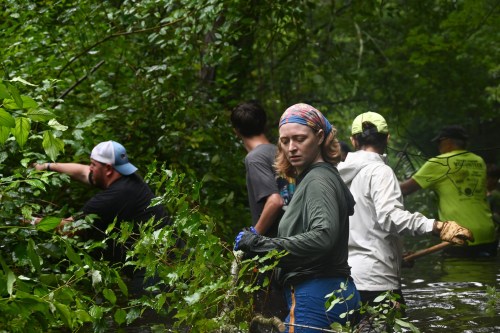 Volunteers move fallen branches out of the way in the Acushnet River on Aug. 22, 2026, in Acushnet, Mass. (Brooke Kushwaha/The New Bedford Light via AP)