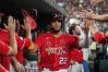 St. Louis Cardinals' Joshua Báez is congratulated by teammates after scoring during the fifth inning of a baseball game against the Chicago White Sox Friday, Sept. 11, 2026, in St. Louis. (AP Photo/Jeff Roberson)