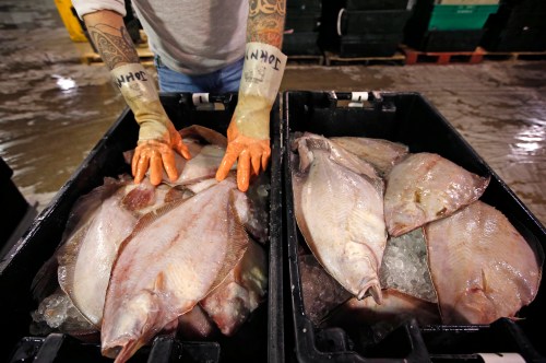 FILE - Fish buyer John Twiss examines a crate full of dab, a type of flounder, prior to the an auction at the Portland Fish Exchange in Portland, Maine, Nov. 11, 2014. (AP Photo/Robert F. Bukaty, File)