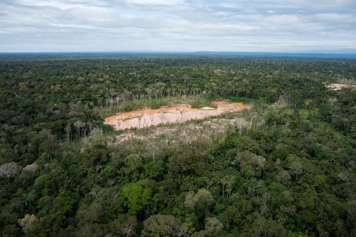 FILE - Deforestation from illegal mining is visible in the Tambopata National Reserve in Puerto Maldonado, Peru, Aug. 11, 2026. (AP Photo/Guadalupe Pardo, File)